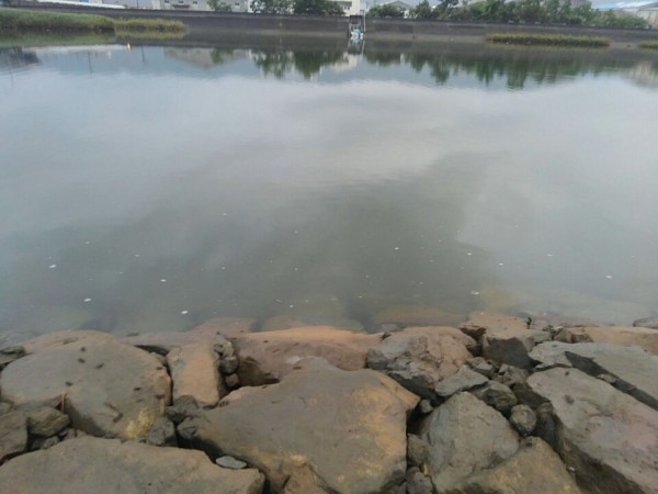 hideup 乃村弘栄 ブログ写真 2017/08/02