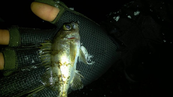 hideup 乃村弘栄 ブログ写真 2016/03/08