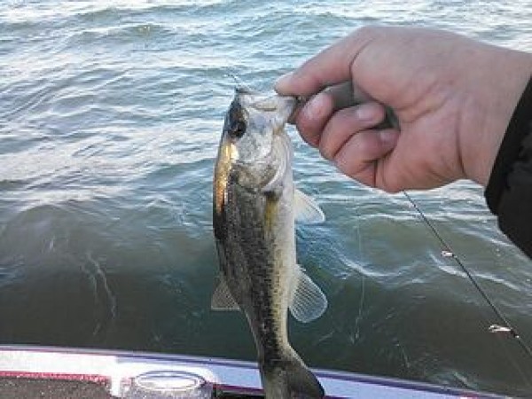 hideup 乃村弘栄 ブログ写真 2014/11/05