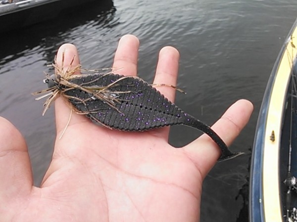 hideup 乃村弘栄 ブログ写真 2015/08/14