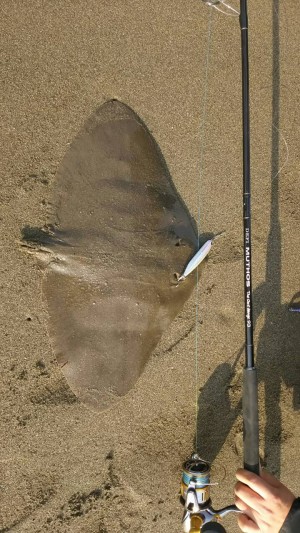 hideup 乃村弘栄 ブログ写真 2016/01/07