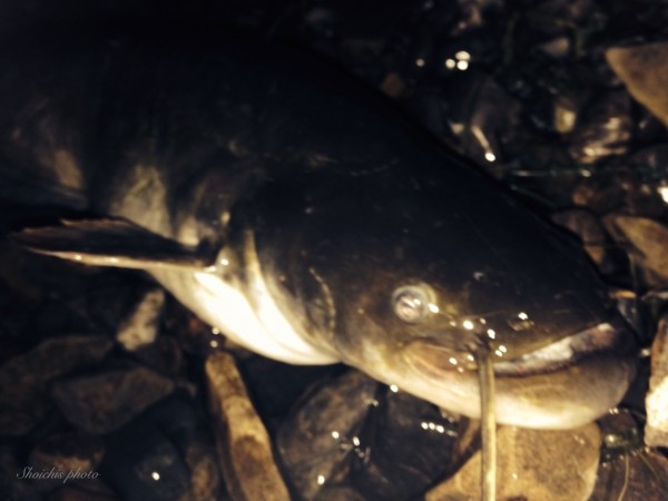 hideup 乃村弘栄 ブログ写真 2015/07/01