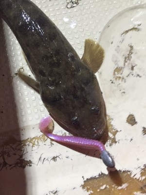 hideup 乃村弘栄 ブログ写真 2015/09/10