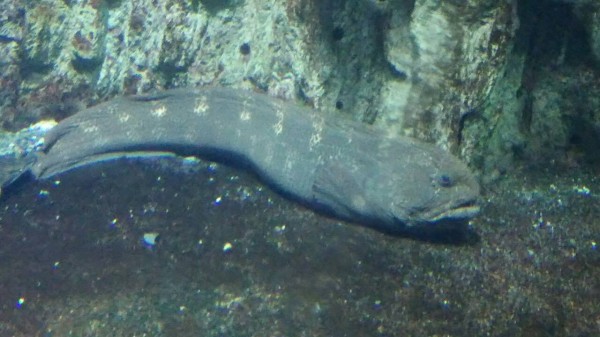 hideup 乃村弘栄 ブログ写真 2016/02/12