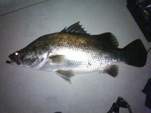 hideup 乃村弘栄 ブログ写真 2015/06/05