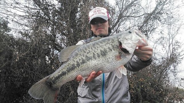 hideup 乃村弘栄 ブログ写真 2016/03/06