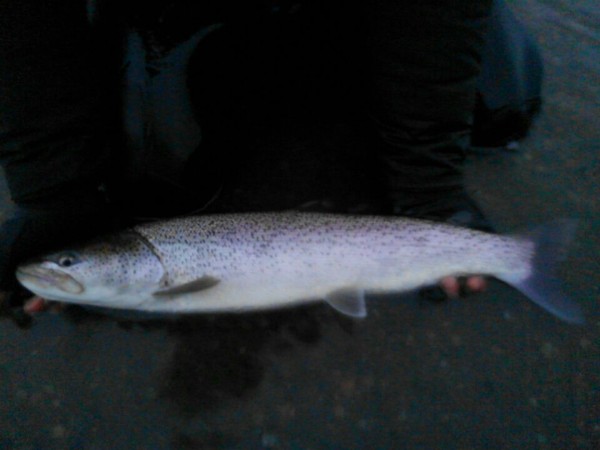 hideup 乃村弘栄 ブログ写真 2017/11/12