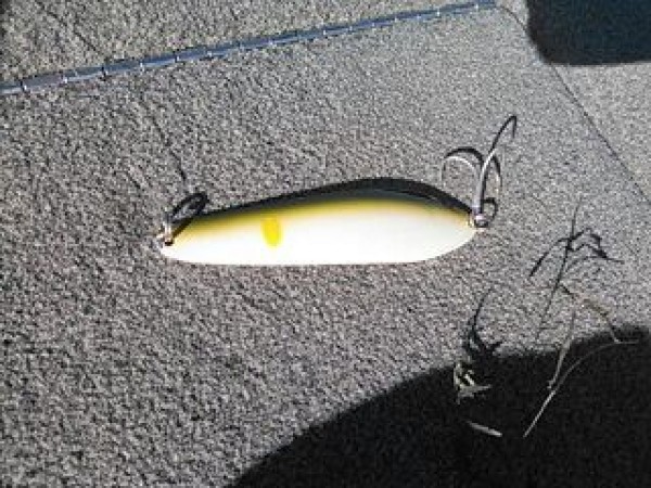 hideup 乃村弘栄 ブログ写真 2014/11/05