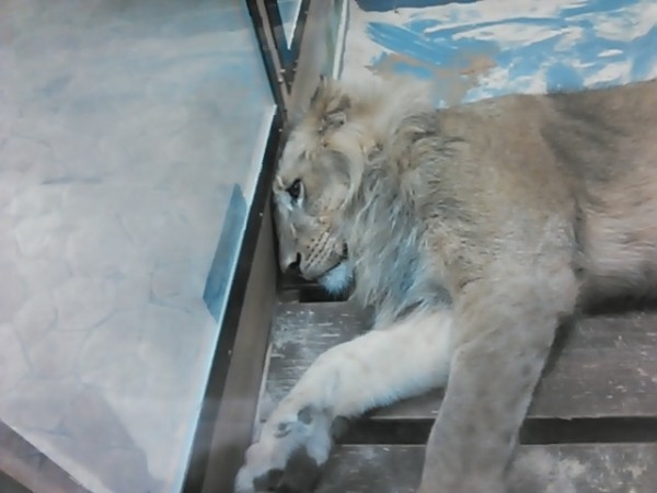 hideup 乃村弘栄 ブログ写真 2015/09/09