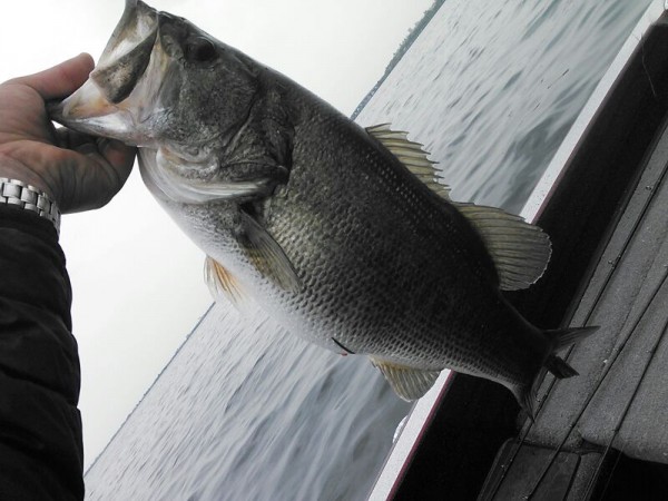 hideup 乃村弘栄 ブログ写真 2015/05/10