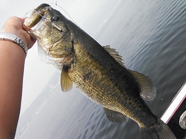 hideup 乃村弘栄 ブログ写真 2015/08/04