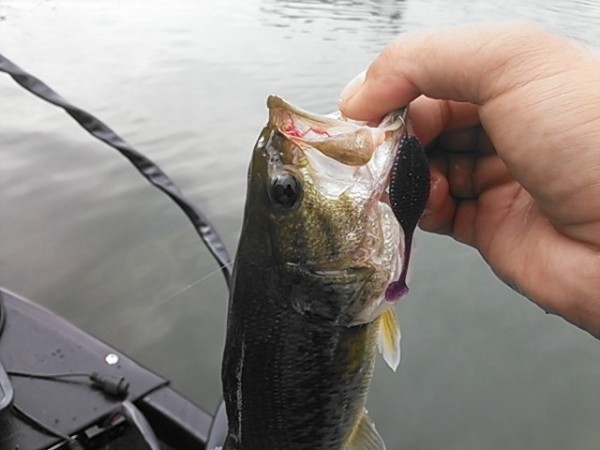 hideup 乃村弘栄 ブログ写真 2014/09/06