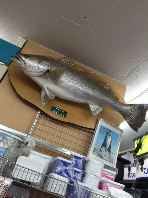 hideup 乃村弘栄 ブログ写真 2016/01/07