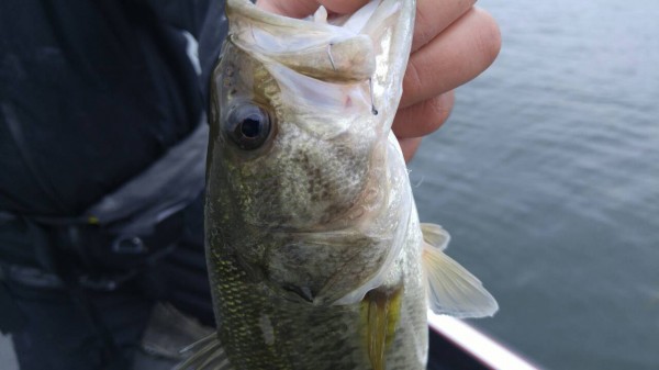 hideup 乃村弘栄 ブログ写真 2015/11/03