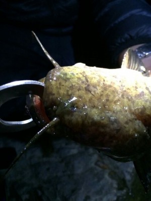 hideup 乃村弘栄 ブログ写真 2015/06/07