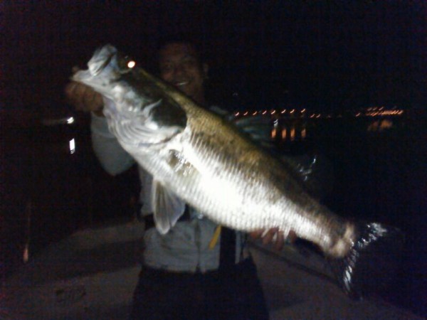 hideup 乃村弘栄 ブログ写真 2015/06/05