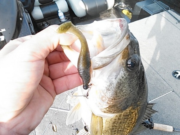 hideup 乃村弘栄 ブログ写真 2015/01/06