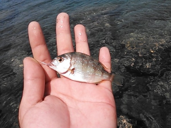 hideup 乃村弘栄 ブログ写真 2015/08/06