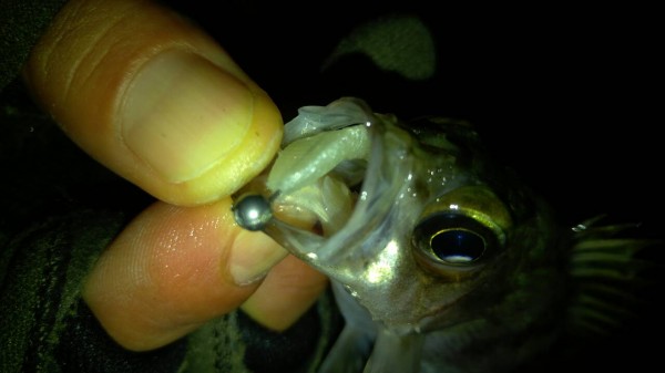 hideup 乃村弘栄 ブログ写真 2016/02/16