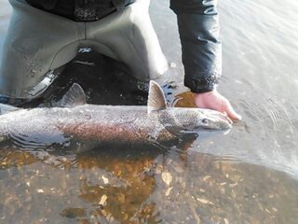 hideup 乃村弘栄 ブログ写真 2014/11/03