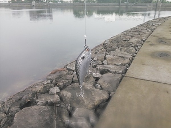 hideup 乃村弘栄 ブログ写真 2014/10/05