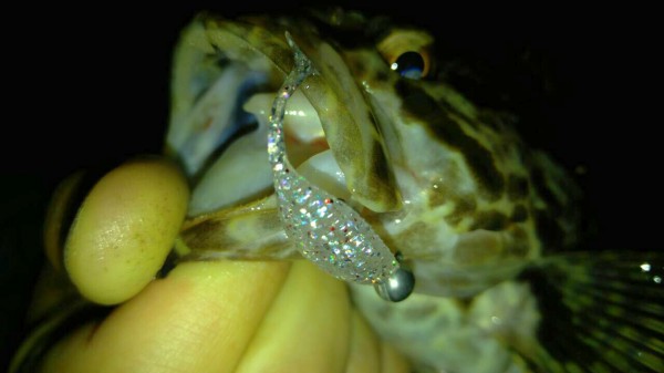 hideup 乃村弘栄 ブログ写真 2016/03/08