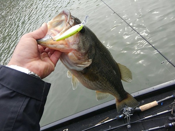 hideup 乃村弘栄 ブログ写真 2017/06/06