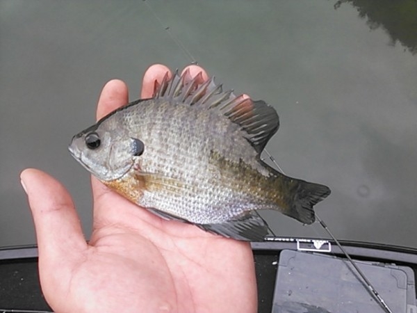 hideup 乃村弘栄 ブログ写真 2014/09/06