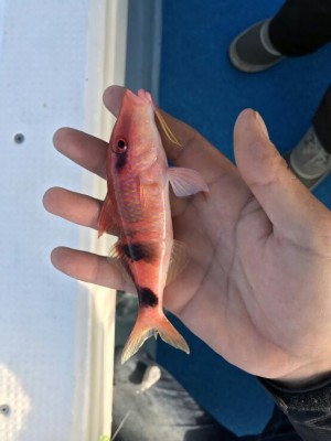 hideup 乃村弘栄 ブログ写真 2016/12/01