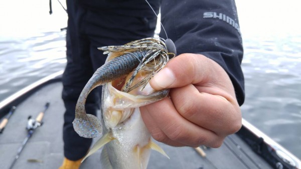 hideup 乃村弘栄 ブログ写真 2015/11/11