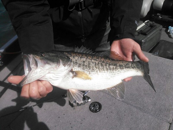 hideup 乃村弘栄 ブログ写真 2015/03/17