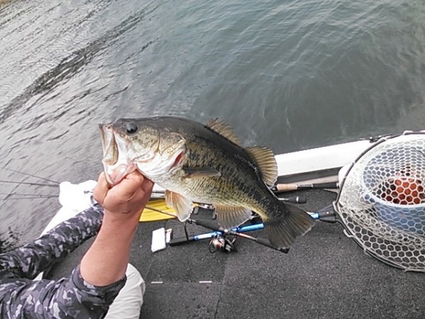 hideup 乃村弘栄 ブログ写真 2015/10/12