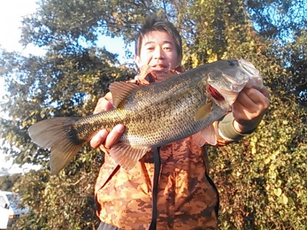 hideup 乃村弘栄 ブログ写真 2015/11/12