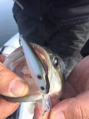 hideup 乃村弘栄 ブログ写真 2017/01/07