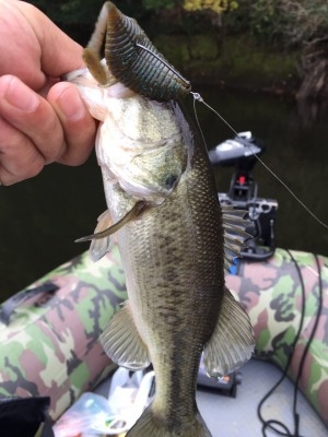 hideup 乃村弘栄 ブログ写真 2015/12/04