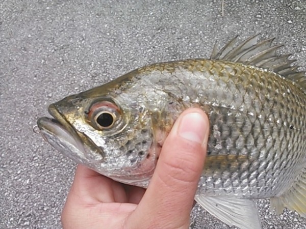 hideup 乃村弘栄 ブログ写真 2014/12/16