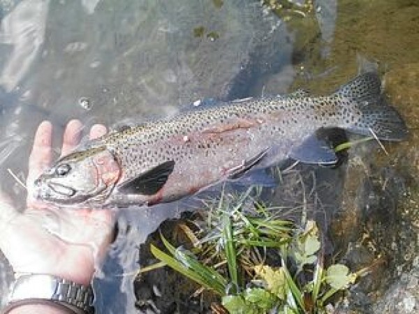 hideup 乃村弘栄 ブログ写真 2014/11/08