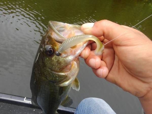 hideup 乃村弘栄 ブログ写真 2017/06/06