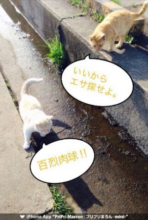 hideup 乃村弘栄 ブログ写真 2015/05/01