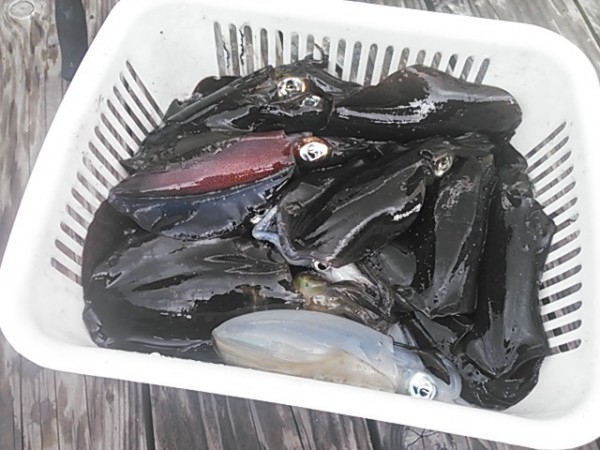 hideup 乃村弘栄 ブログ写真 2015/10/07