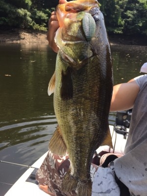 hideup 乃村弘栄 ブログ写真 2015/08/07