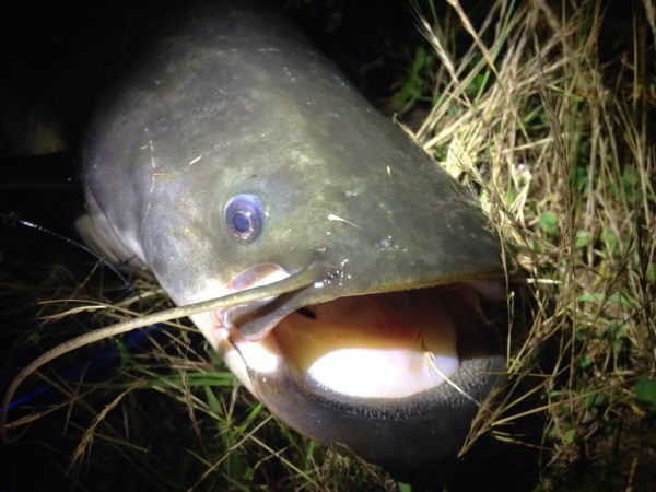 hideup 乃村弘栄 ブログ写真 2015/07/02