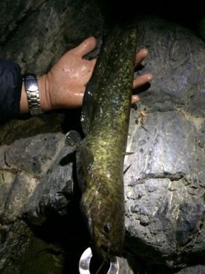 hideup 乃村弘栄 ブログ写真 2015/06/07