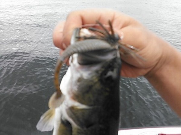 hideup 乃村弘栄 ブログ写真 2014/08/04