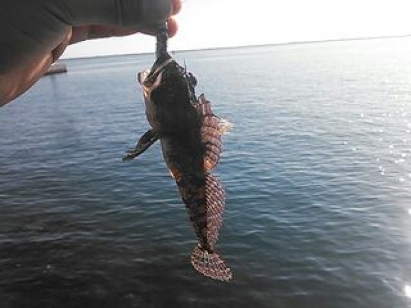 hideup 乃村弘栄 ブログ写真 2014/11/14