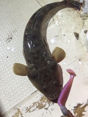 hideup 乃村弘栄 ブログ写真 2015/09/10