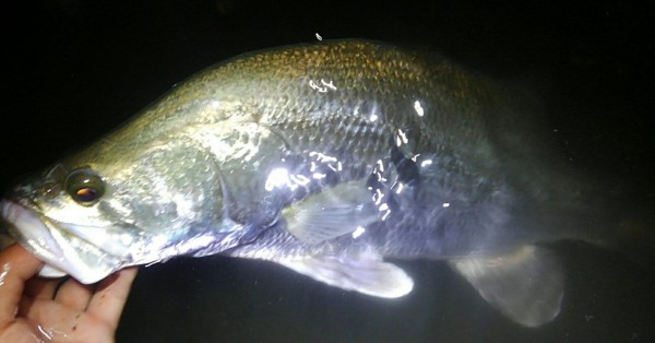 hideup 乃村弘栄 ブログ写真 2017/08/02