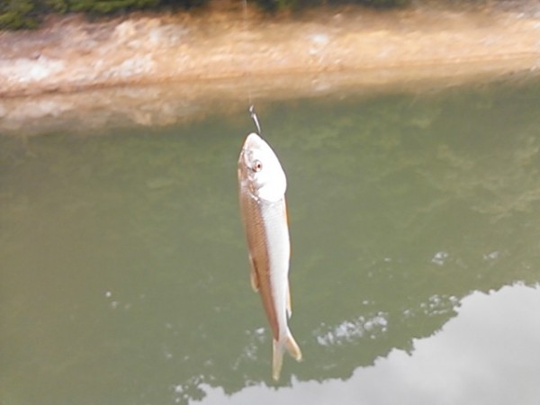 hideup 乃村弘栄 ブログ写真 2014/09/06