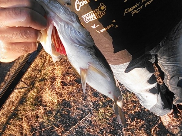 hideup 乃村弘栄 ブログ写真 2015/11/06