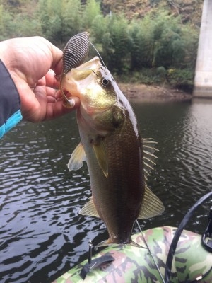 hideup 乃村弘栄 ブログ写真 2015/12/04